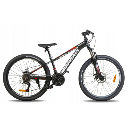 ROWER GÓRSKI MTB Dla Dzieci 24" Rama 11 Różne kolory